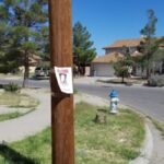 Tips on Summer Well’s Possible Whereabouts Reached More Than 700