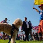 20-09 Republicans Nearly Outnumber Democrats in Florida