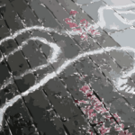 22.09.2021.VM-Gabby Petitos Cause of Death has Been Determined to be Homicide