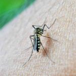 07.10.2021.VM-Malaria Vaccine Should be Utilized in Africa According to UN experts 2