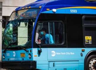 NYC Man Attacks Bus Driver With Tree Branch Among Crime Surge
