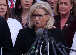 Liz Cheney Rips Into Republican Voters
