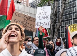 Pro-Palestinian Protesters Make a Mockery of Veteran’s Day