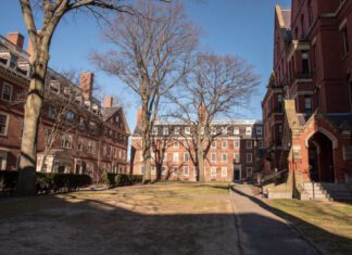 Interim Harvard President Will Fight Anti-Semitism